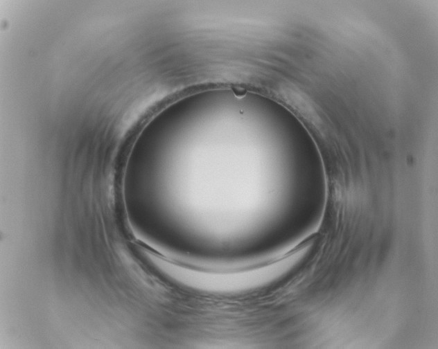 X0000089430676200707061344