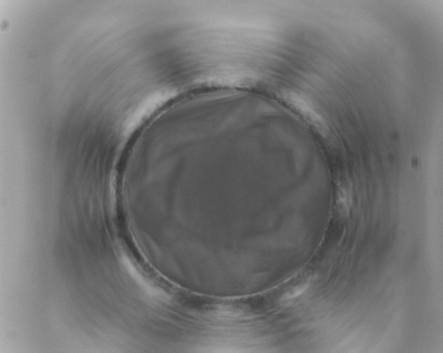 X0000089430678200707061344