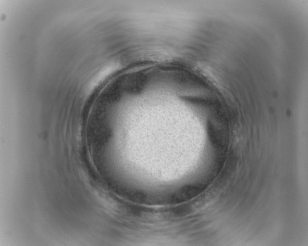 X0000089430679200707061344