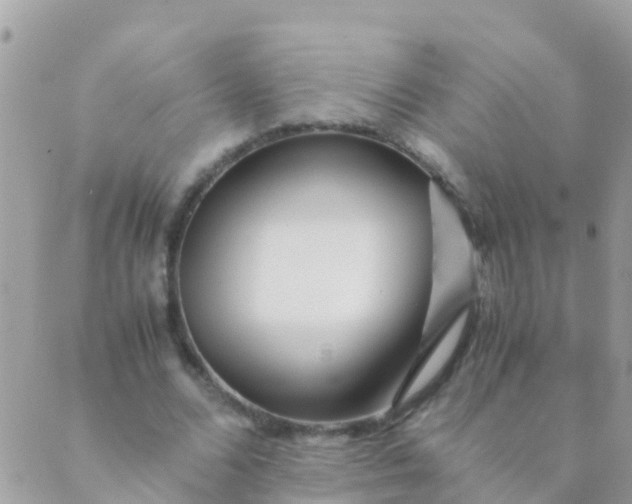 X0000089430680200707061344