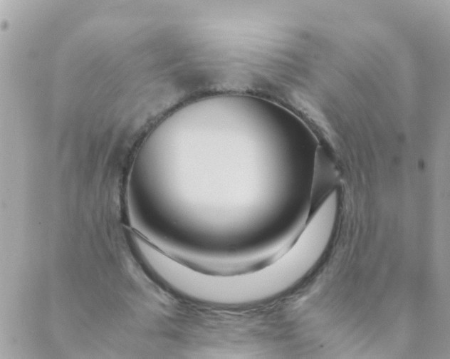 X0000089430681200707061344