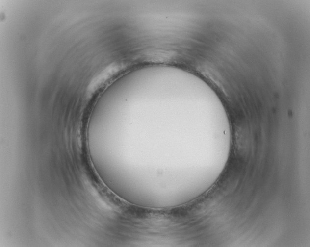 X0000089430682200707061344