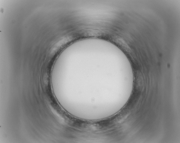 X0000089430683200707061344