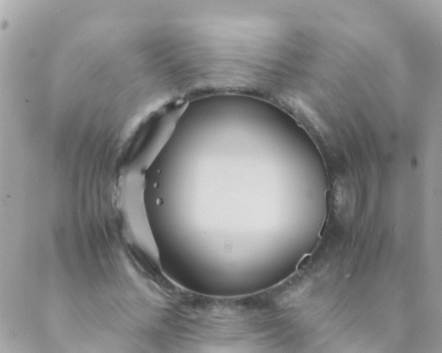 X0000089430684200707061344