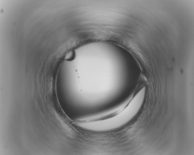 X0000089430685200707061344