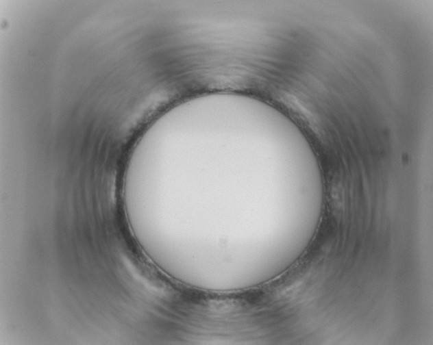 X0000089430686200707061344