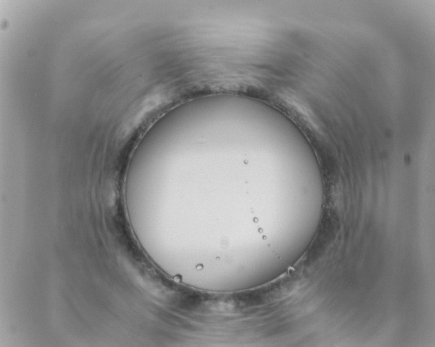 X0000089430687200707061344