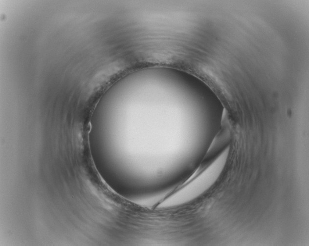 X0000089430688200707061344