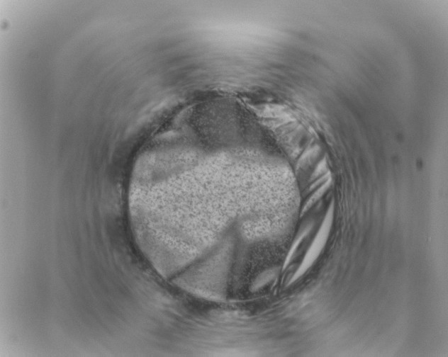 X0000089430689200707061344