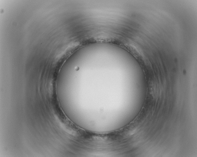 X0000089430690200707061344