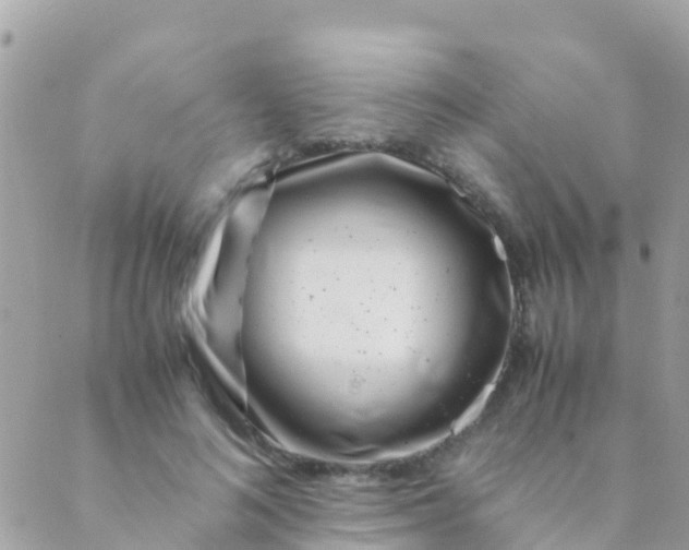 X0000089430692200707061344