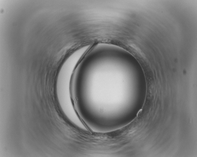 X0000089430693200707061344