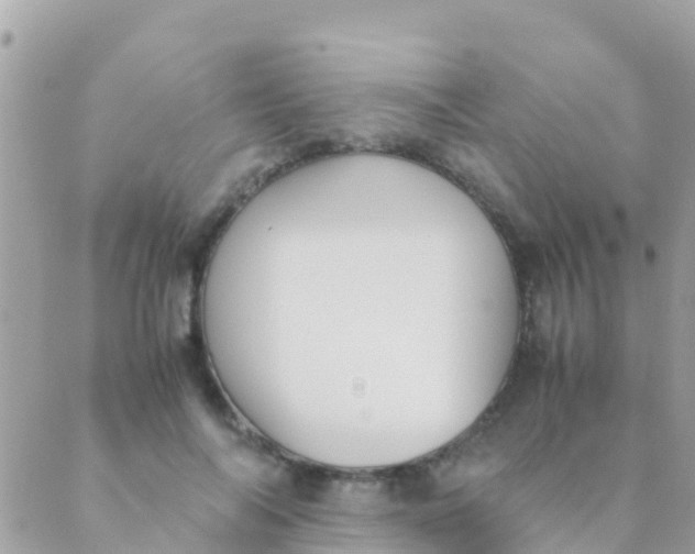 X0000089430694200707061344