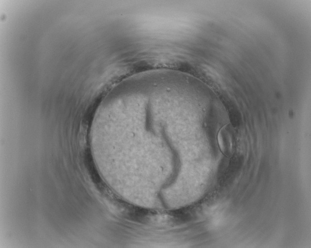 X0000089430695200707061344