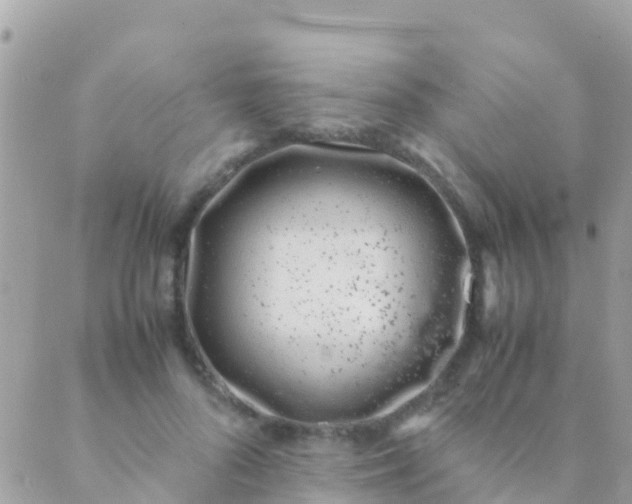 X0000089430696200707061344