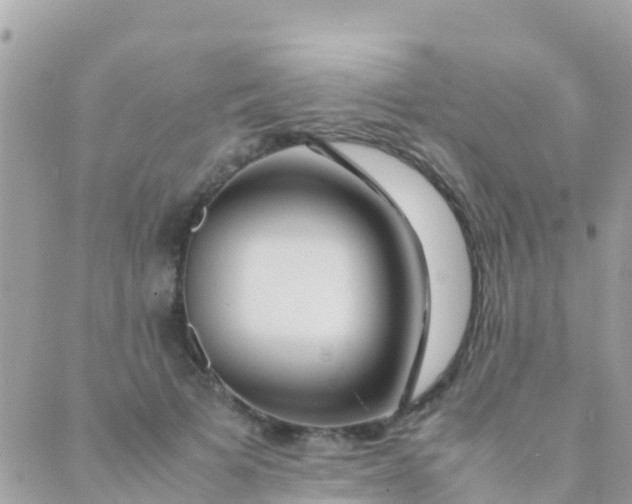 X0000089430697200707061344