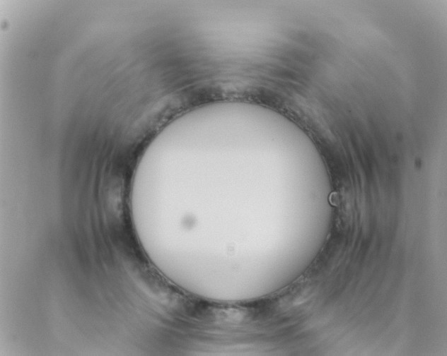 X0000089430698200707061344