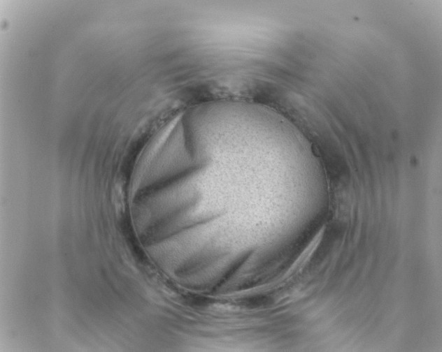 X0000089430699200707061344