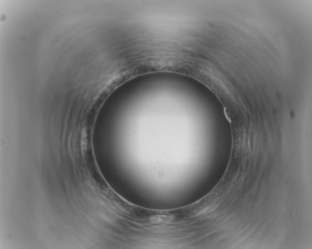 X0000089430700200707061344