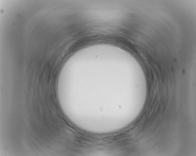 X0000089430701200707061344