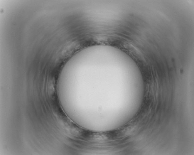 X0000089430702200707061344