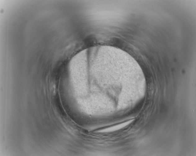 X0000089430703200707061344