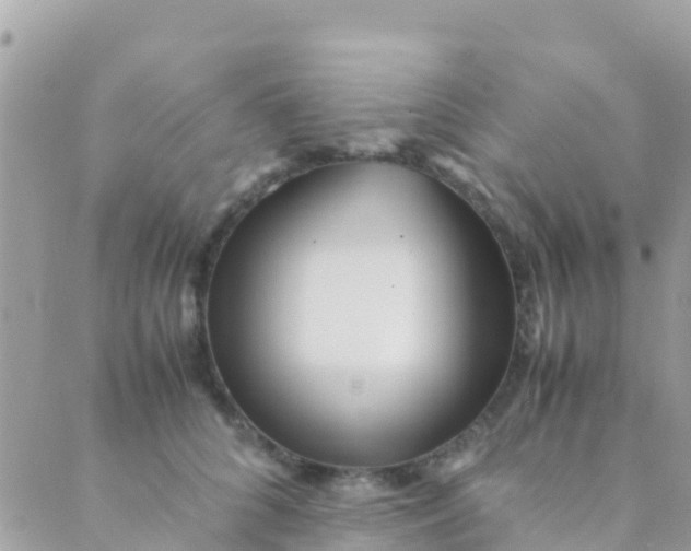 X0000089430704200707061344