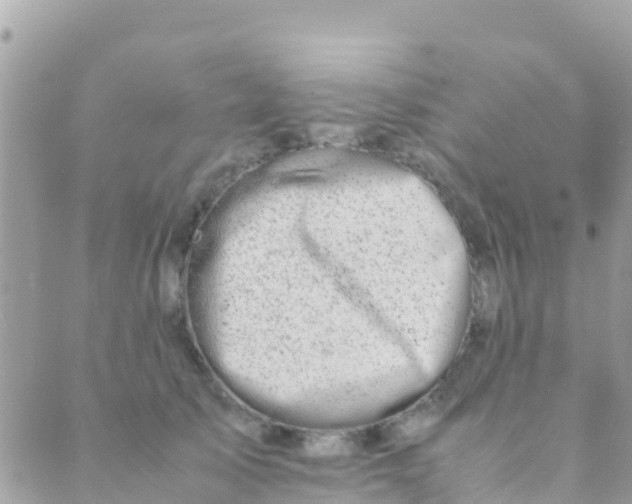 X0000089430705200707061344