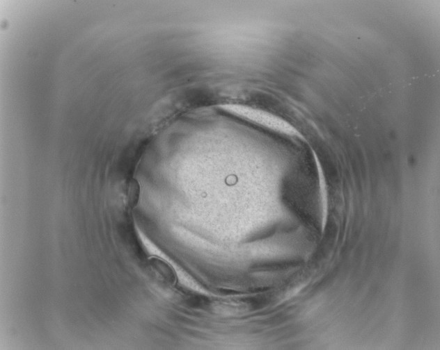 X0000089430707200707061344