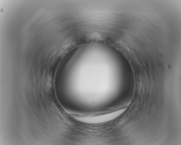 X0000089430708200707061344