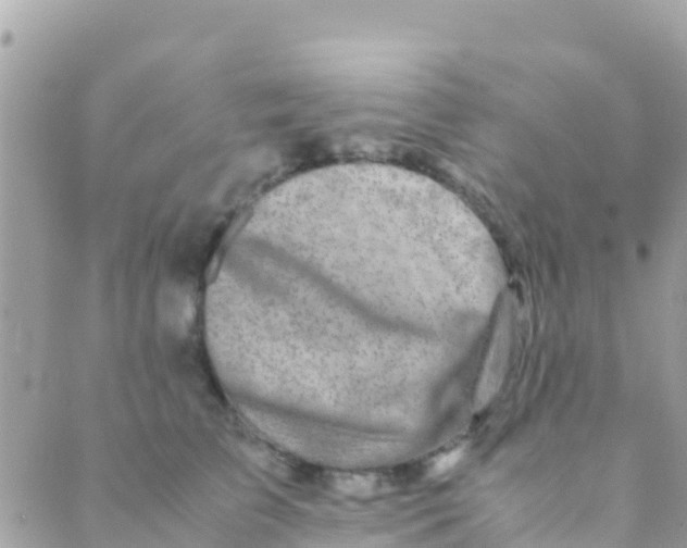 X0000089430709200707061344