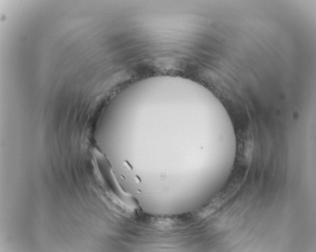 X0000089430710200707061344