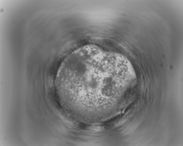 X0000089430711200707061344