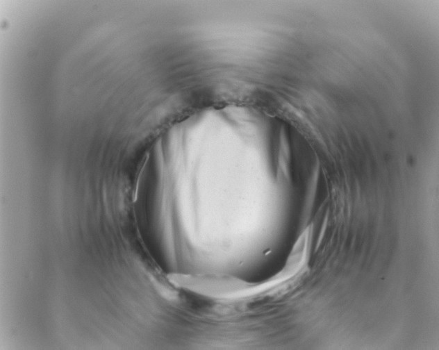 X0000089430712200707061344