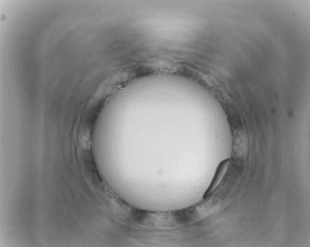 X0000089430713200707061344