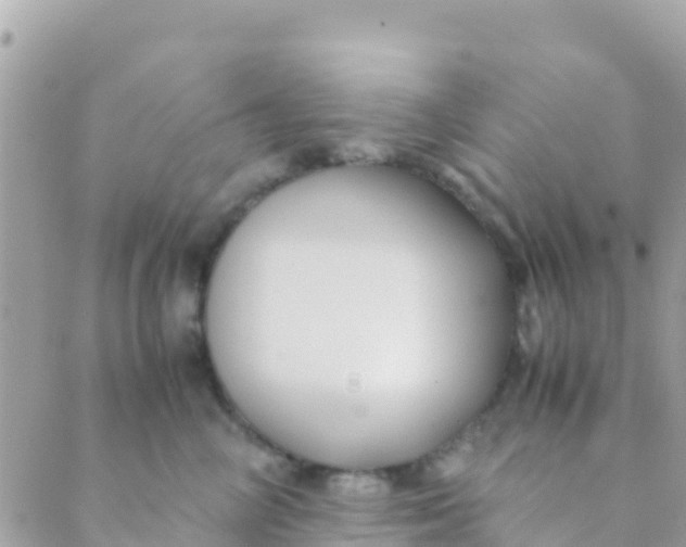 X0000089430714200707061344