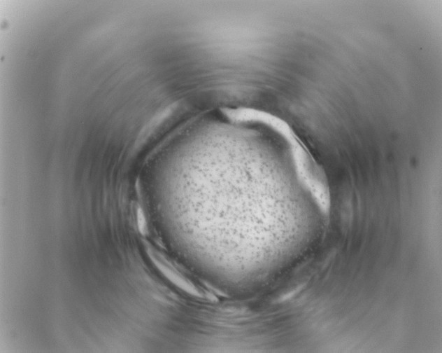 X0000089430716200707061343