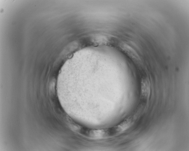 X0000089430717200707061343