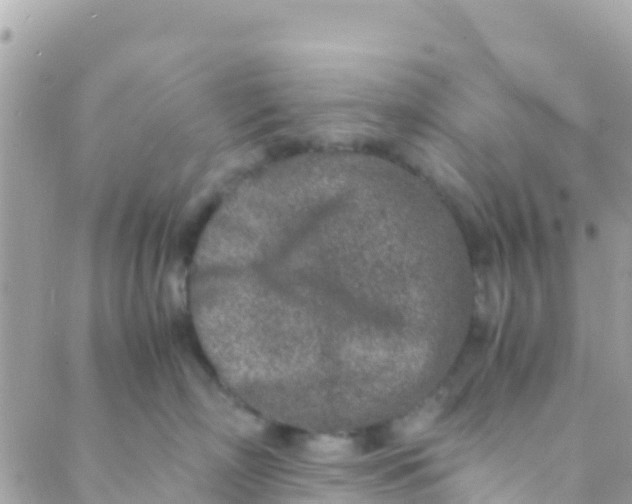 X0000089430718200707061343