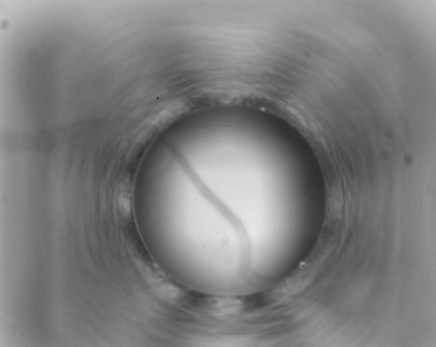 X0000089430719200707061343