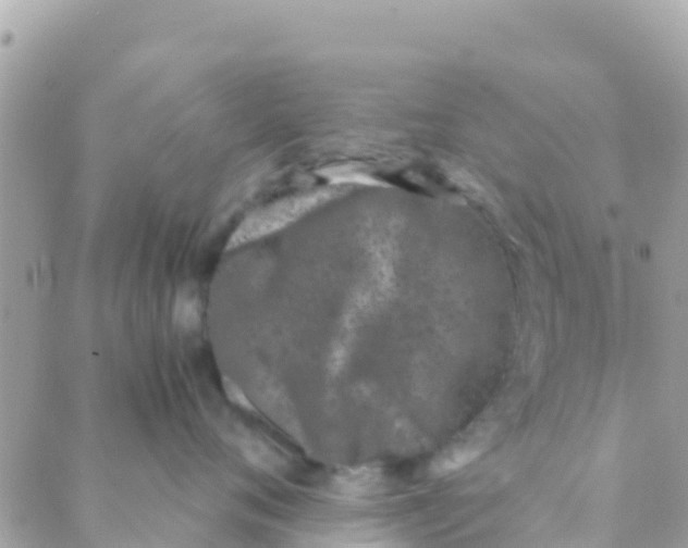 X0000089430720200707061343