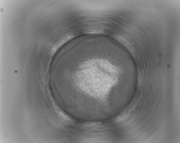 X0000089430721200707061343