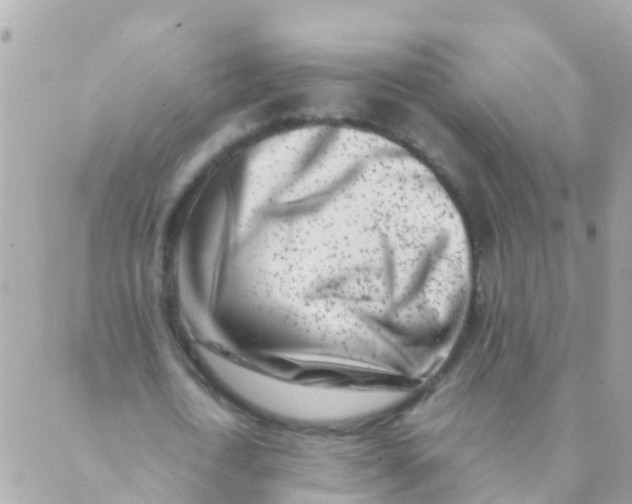 X0000089430722200707061343