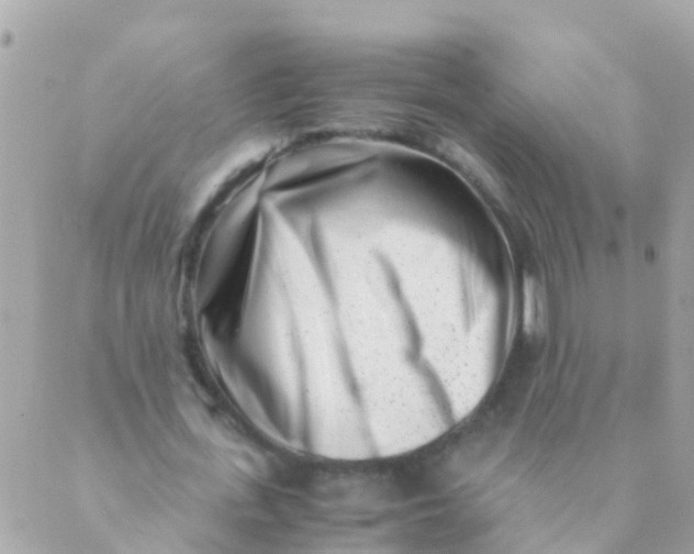 X0000089430723200707061343