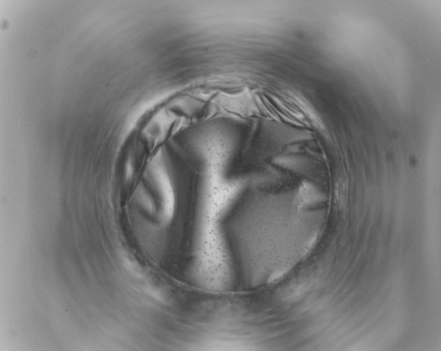 X0000089430724200707061343