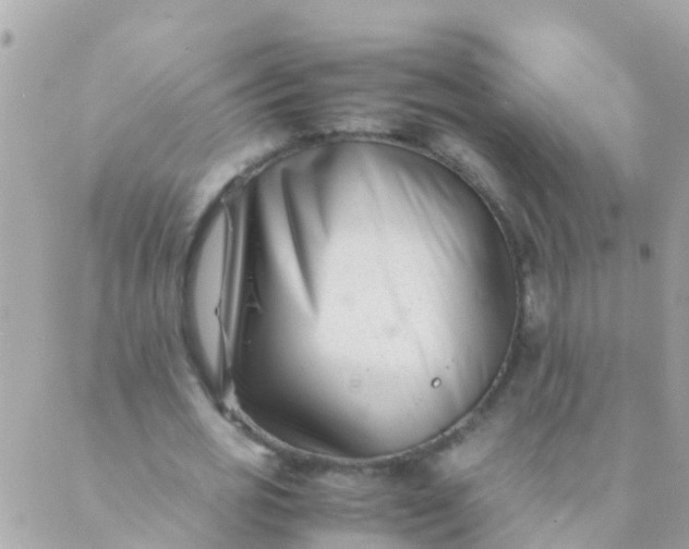 X0000089430725200707061343