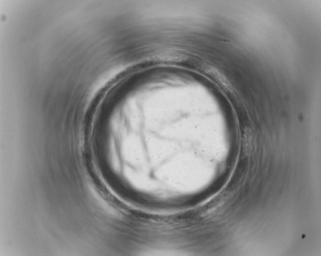 X0000089430726200707061343