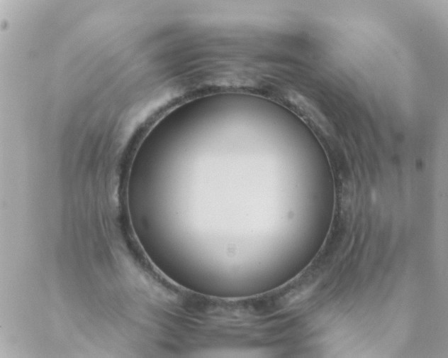 X0000089430727200707061343