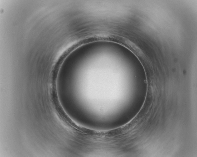 X0000089430728200707061343