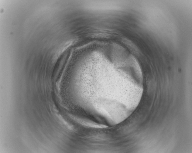 X0000089430729200707061343